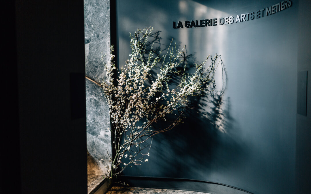 Les meilleures plantes et fleurs pour améliorer le bien-être au bureau